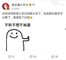 去年卓伟爆料视频大全集